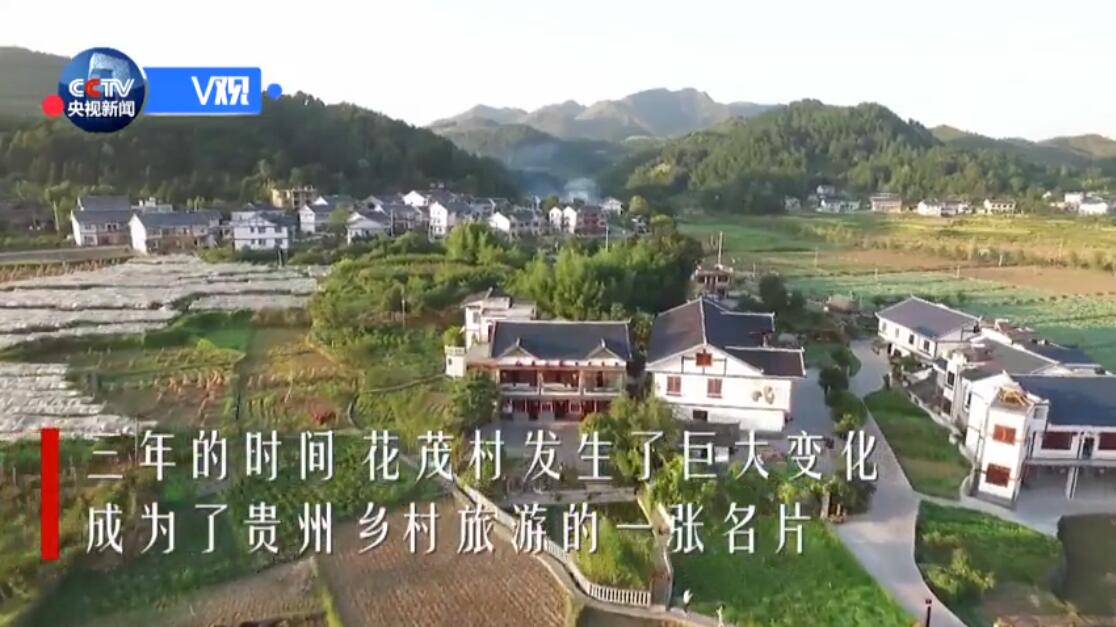 习近平总书记：乡村旅游要有前瞻眼光（花茂村是严力蛟院长团队规划）