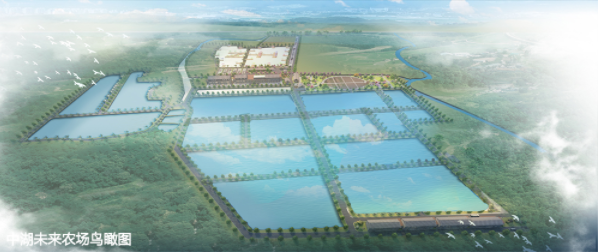 中湖未来农场现代农业产业园总体规划